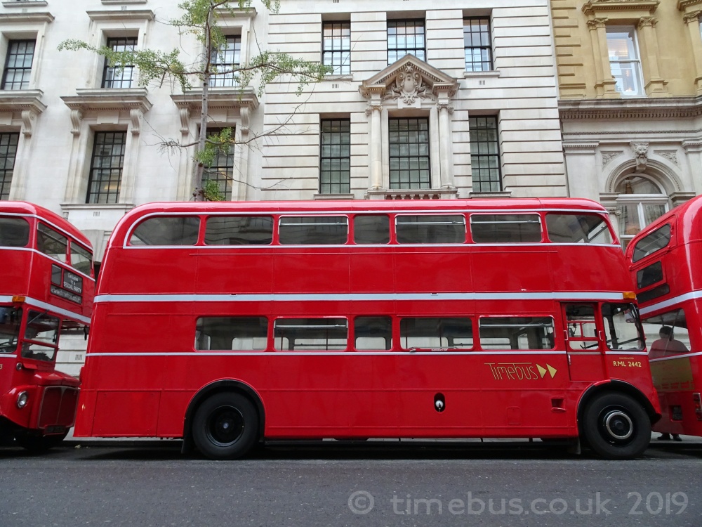 Why do buses always come in threes? - Whitehall Place