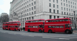 Quadruple bus line-up - Banqueting House, Whitehall Place, Westminster